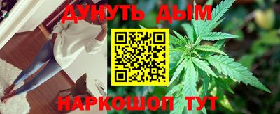 мяу мяу мука Кулебаки