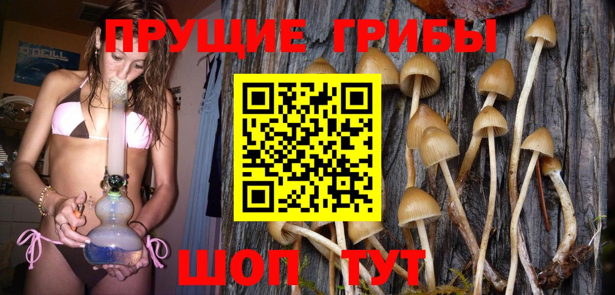 Псилоцибиновые грибы Psilocybine cubensis  Вход с VPN  Касимов  Галлюциногенные грибы Psilocybe 